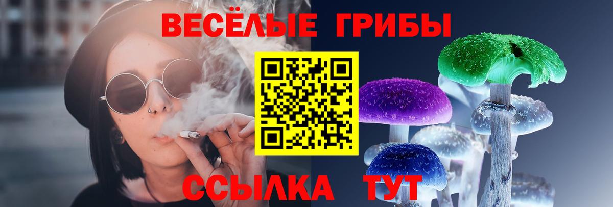 Псилоцибиновые грибы Magic Shrooms Нижнекамск